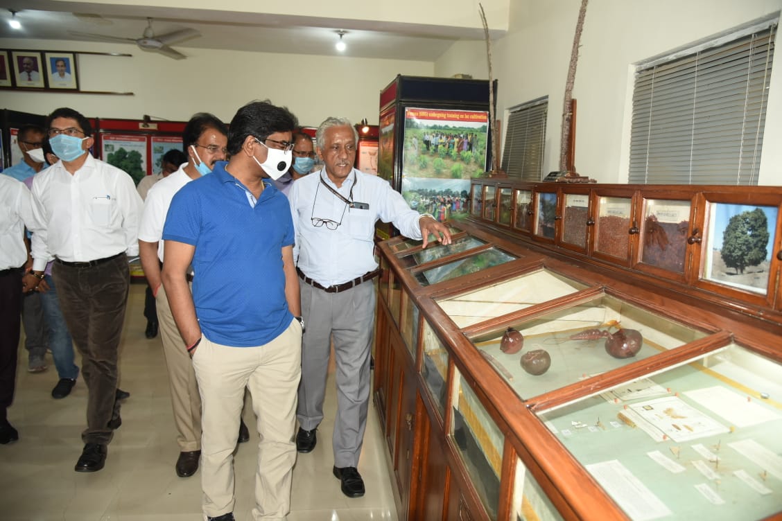 Campus of Indian Natural Roll and Gum Institute