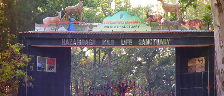 Hazaribag National Park