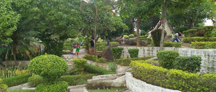 Rock Garden