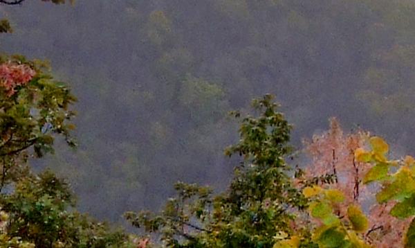 Sunrise Point, Netarhat